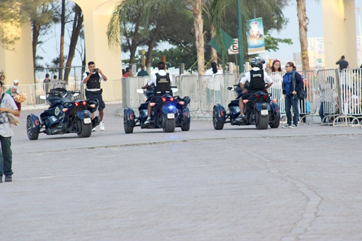 6 - copia
