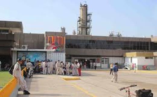 3 plantaload - copia