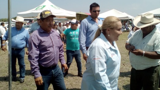 1 EN MARCHA - copia