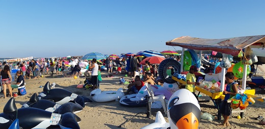 1 20180729_184123 - copia