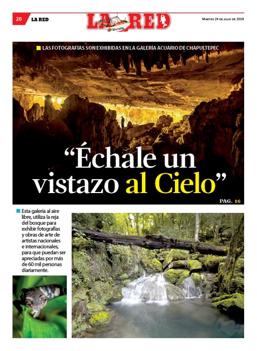 CONTRA PORTADA