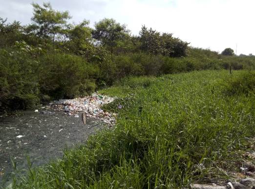 1 canal - copia