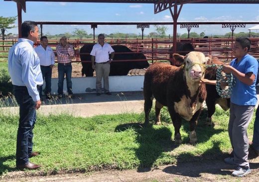 COPIA TAM-118-2018.-Impulsa Gobierno de Tamaulipas programa de mejoramiento genético al alcance de todos los ganaderos tamaulipecos (2) - copia