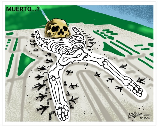 COPIA 2018-10-29 20.04.50