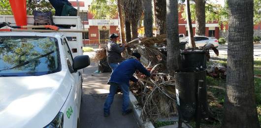ATIENDE 1 - copia