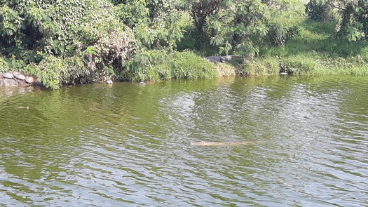 1 desaparece 2 - copia