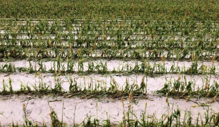 coas por tromba san fernando (2)