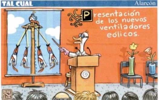 1 CARICATURA - copia