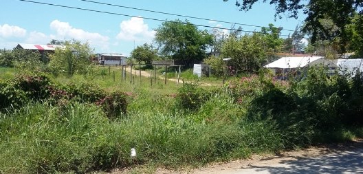 Piden a ciudadanos denuncien solares abandonados - copia