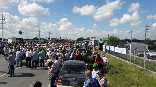 1 COPIA 15007705_10153858208401594_358102686_o - copia