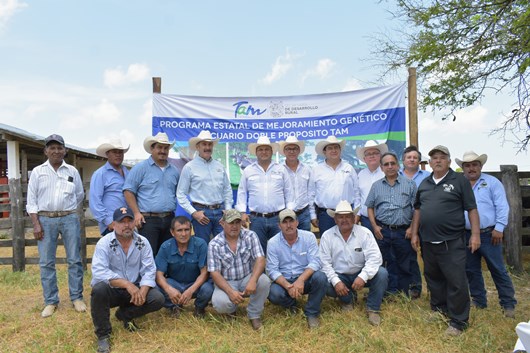 1 COPIA SRU-041-2019.-Gobierno de Tamaulipas subsidia a ganaderos de la zona temporalera vaquillas de doble propósito (5) - copia