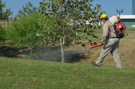 1 COPIA SST-089-2019.-Promueve Tamaulipas la participación social para evitar el dengue (2) - copia
