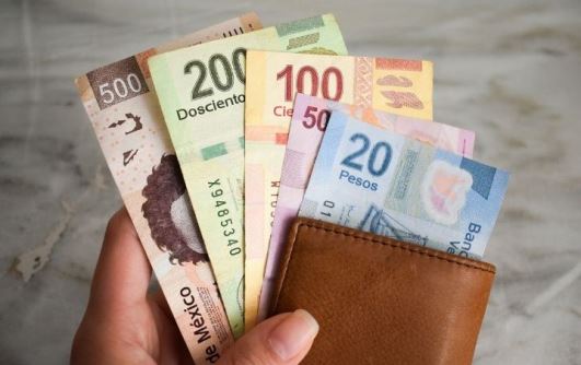 Pide tamaulipas