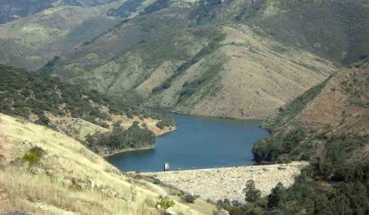 1 PESE A RECORTE - copia
