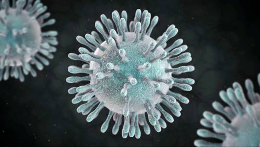 1 coronavirus2 - copia