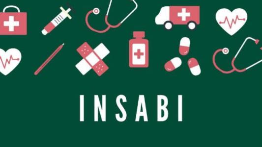 SERVICIOS-INSABI-2020_0