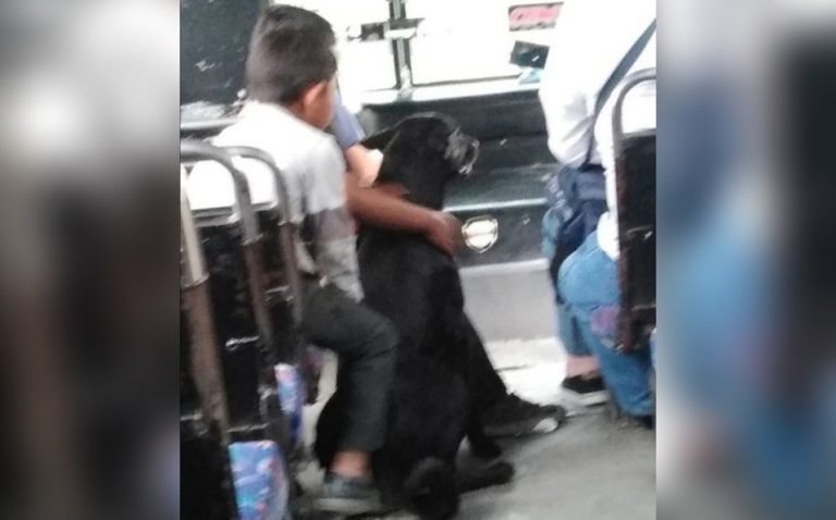 aqui-uno-de-los-ninos_0_4_958_596