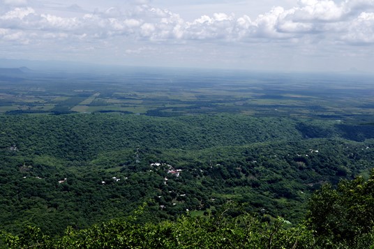 1 COPIA SDU-017-2020.-Protege Gobierno de Tamaulipas las áreas naturales (ANPS) (6) - copia