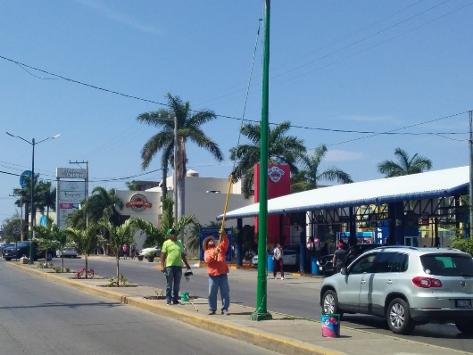 2 COPIA AVANZA