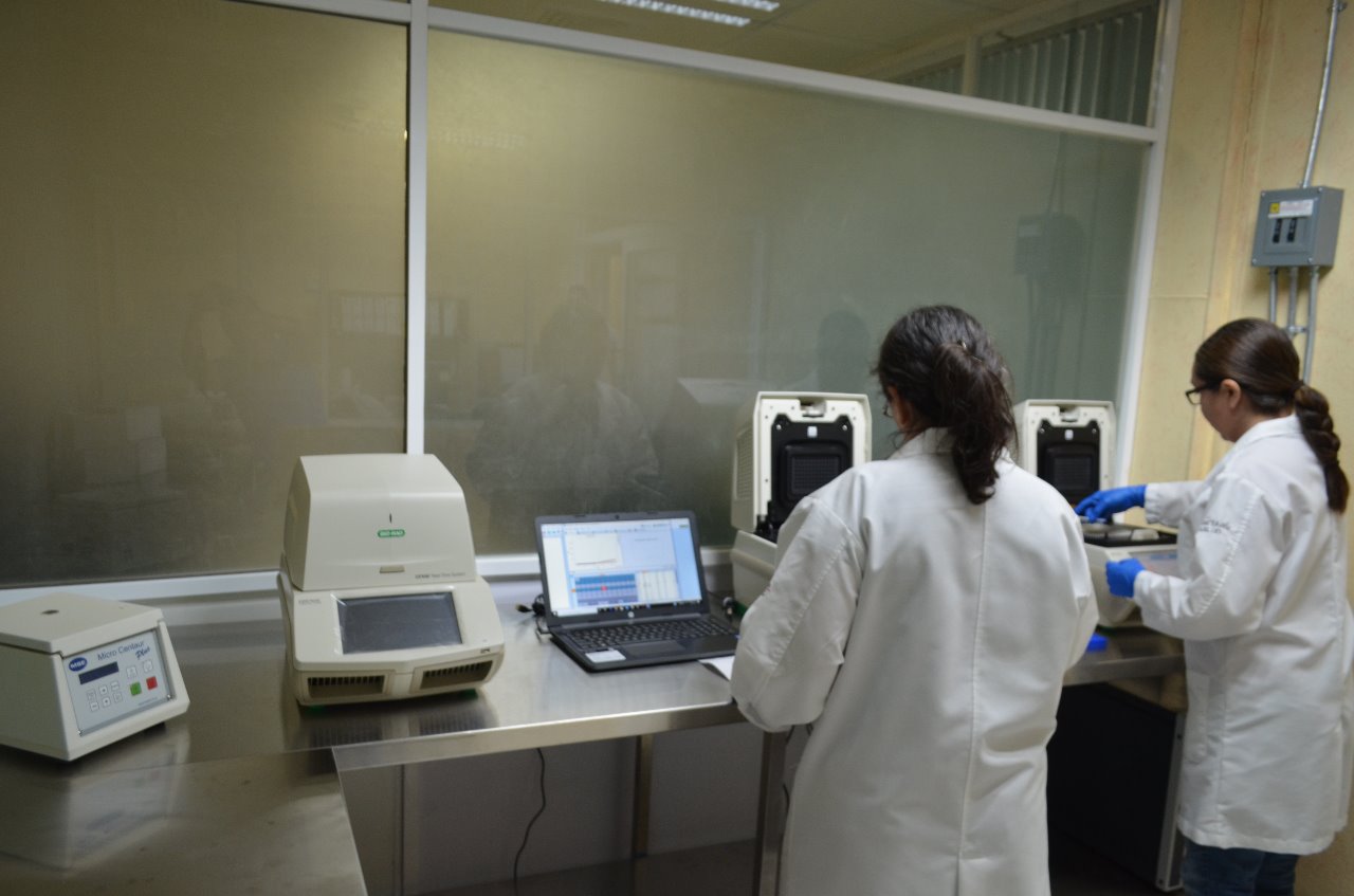 3 Registra Tamaulipas 11 nuevos casos positivos a COVID-19, suman 419
