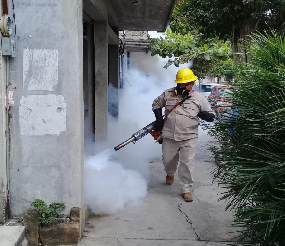 3 DENGUE