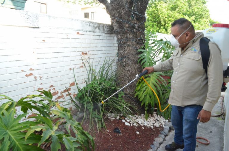 2 VECINOS