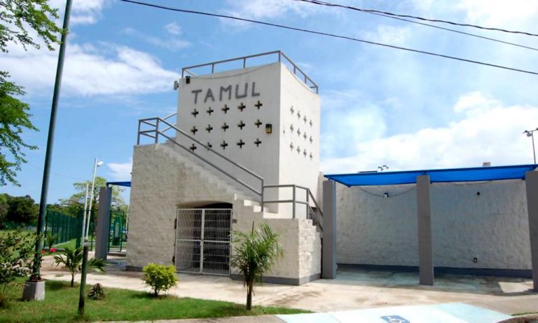 3 TAMULES podrían proporcionasr internet gratis a estudiantes