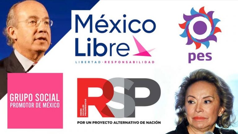 NIEGAN REGISTRO A 5 PARTIDOS RUMBO A COMICIOS DEL 21