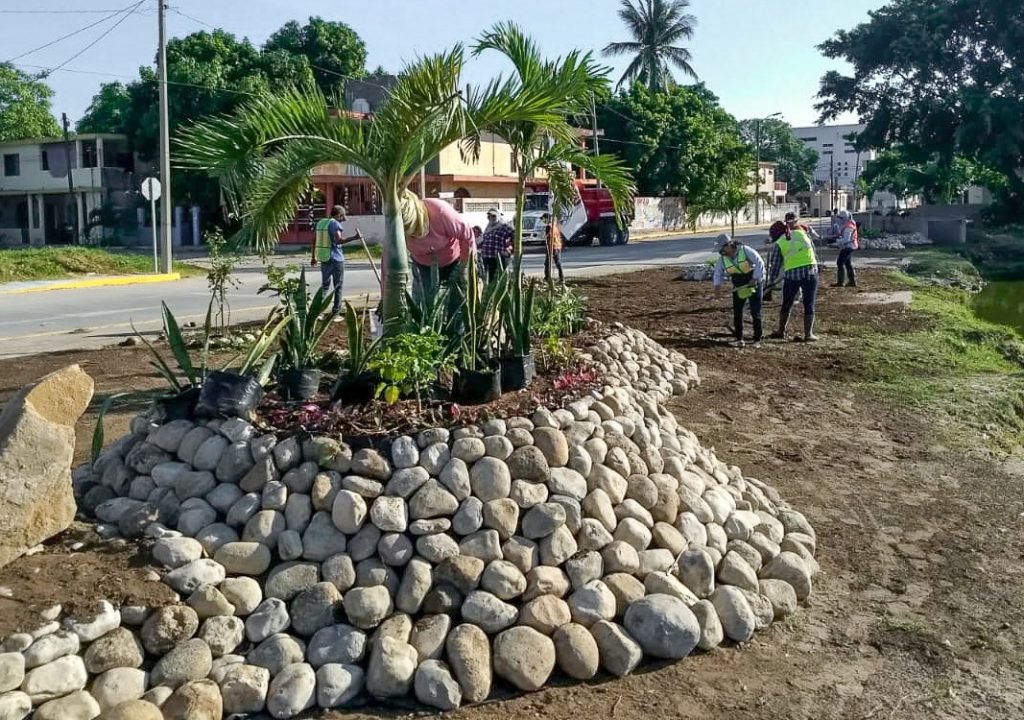 Continúa la reforestación en sistema lagunario – LA RED DE ALTAMIRA
