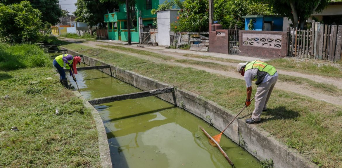 Intensifican trabajos de limpieza en drenes pluviales – LA RED DE ALTAMIRA