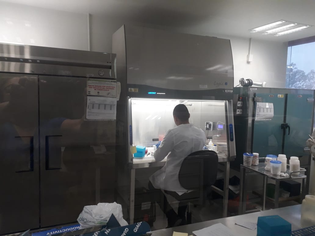 3 Registra Tamaulipas 169 nuevos contagios, urge SST extremar medidas de prevención