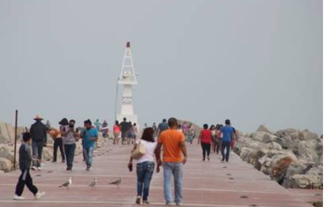 2 Paseante