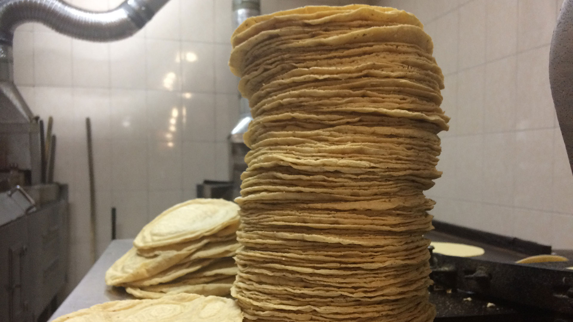 3 tortilla