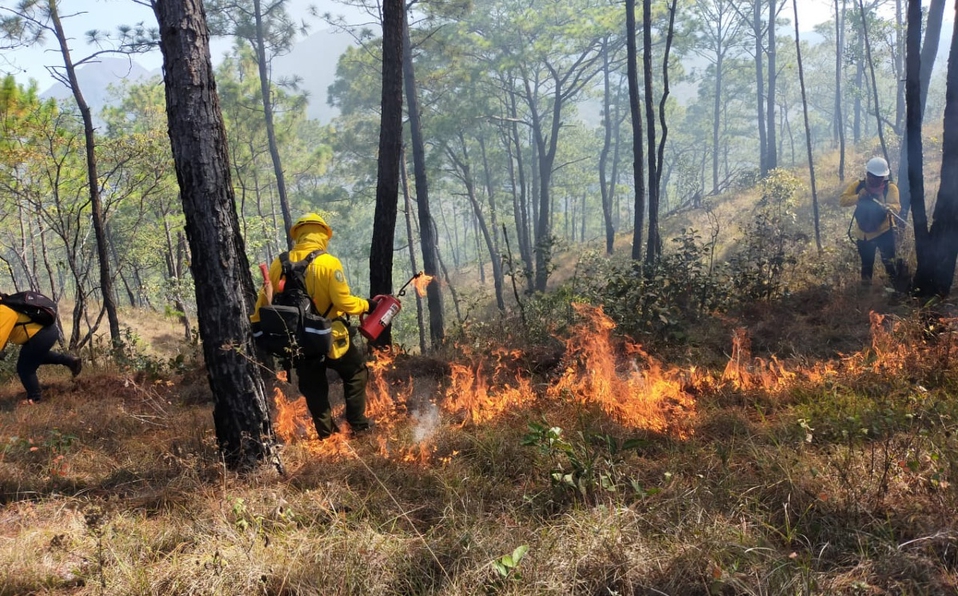 3 ca-incendios