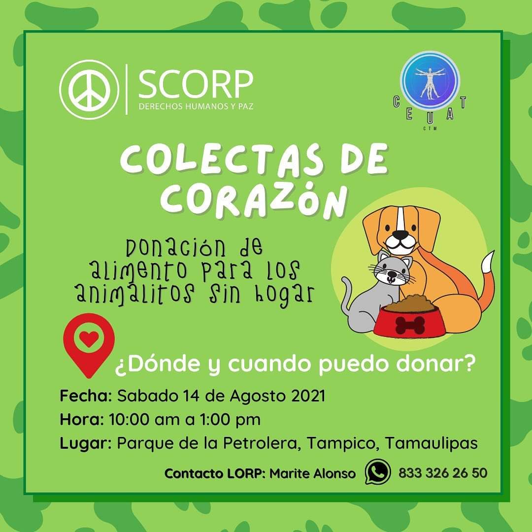 2 Organizan