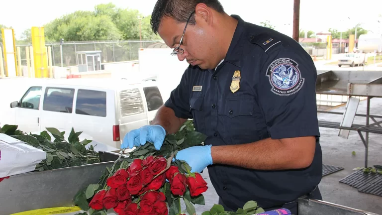 2 -puentes-fronterizos-1