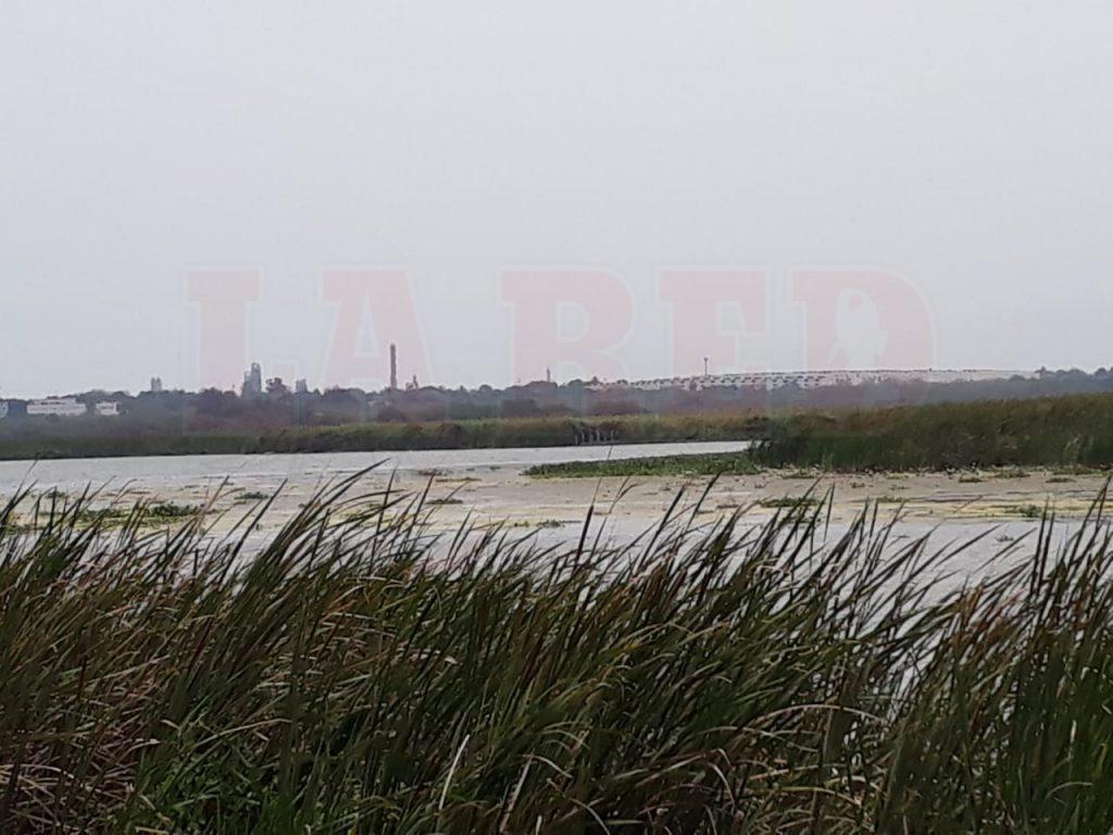 Alerta en Altamira por bajo nivel en el sistema lagunario – LA RED DE ...
