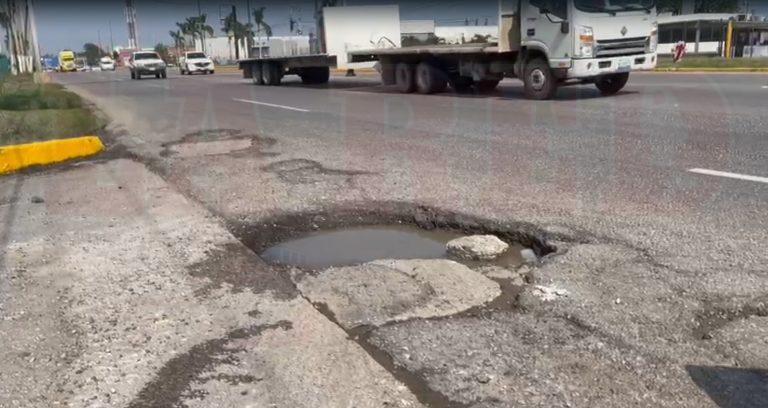 1 BACHES
