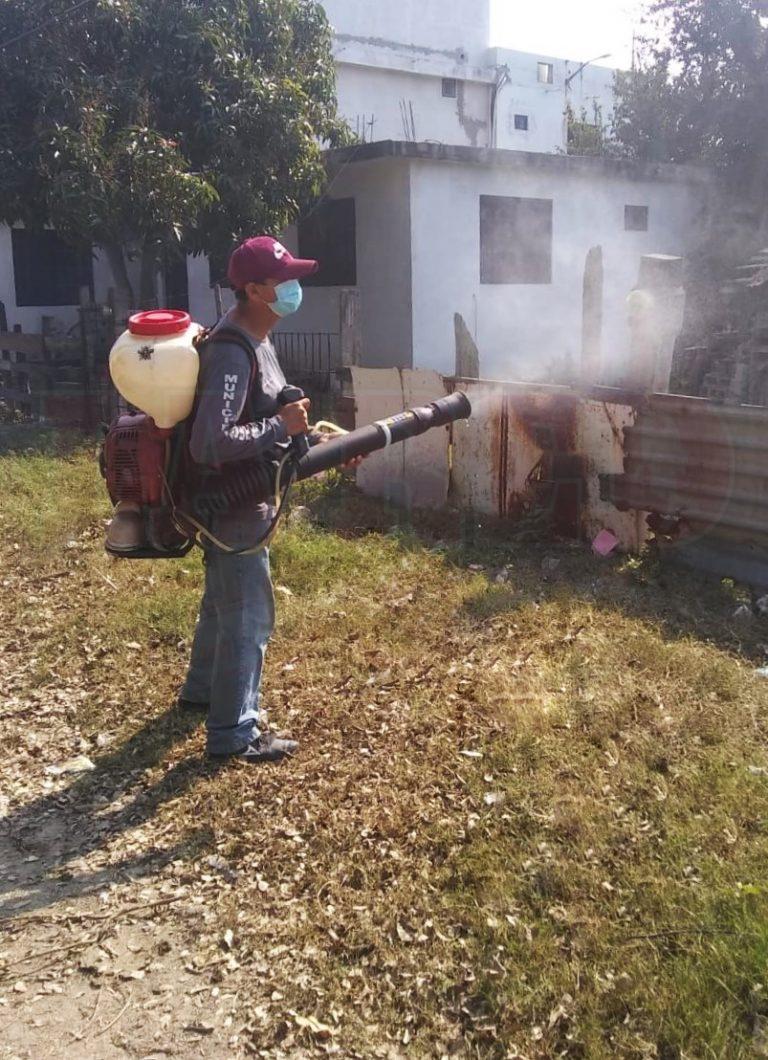 4 FUMIGACION