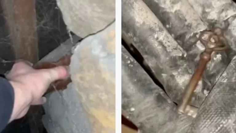 imagenes-caja-misteriosa-que-joven-encontro-pared_98