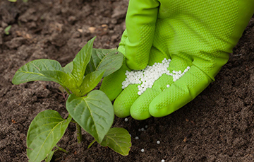 3 FERTILIZANTES