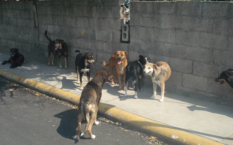 3 MALTRATO