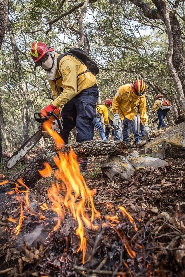 3 INCENDIOS