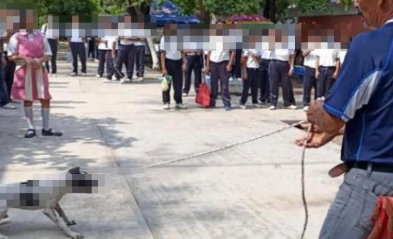 Acusan a director de escuela de arrastra