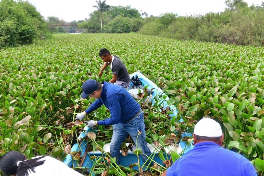 Sistema lagunario del sur de Tamaulipas en riesgo – LA RED DE ALTAMIRA