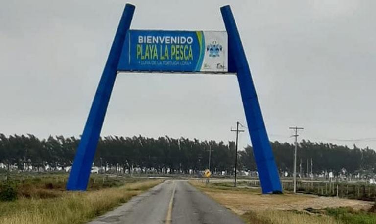 1 Revoca