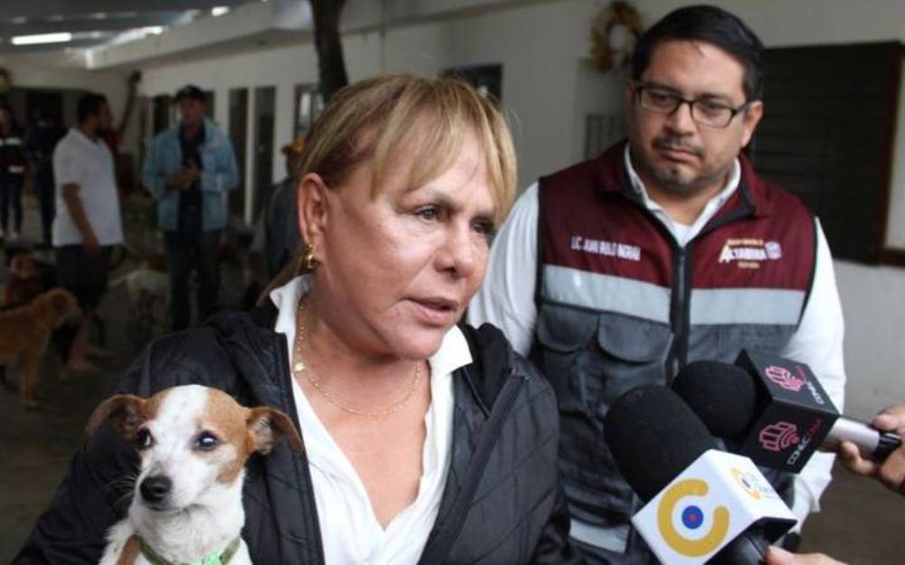 3 PERROS