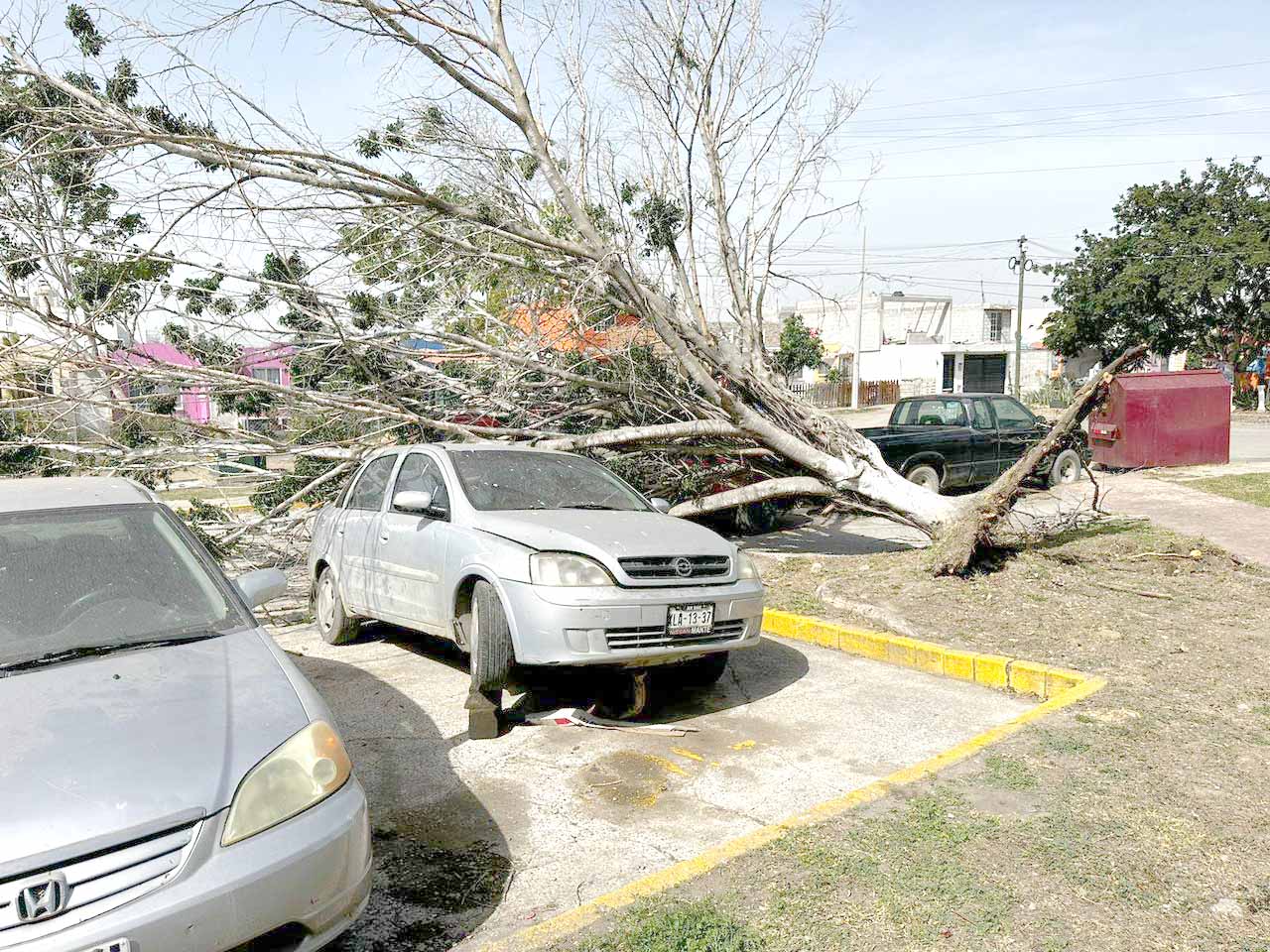 3 Norte dejó