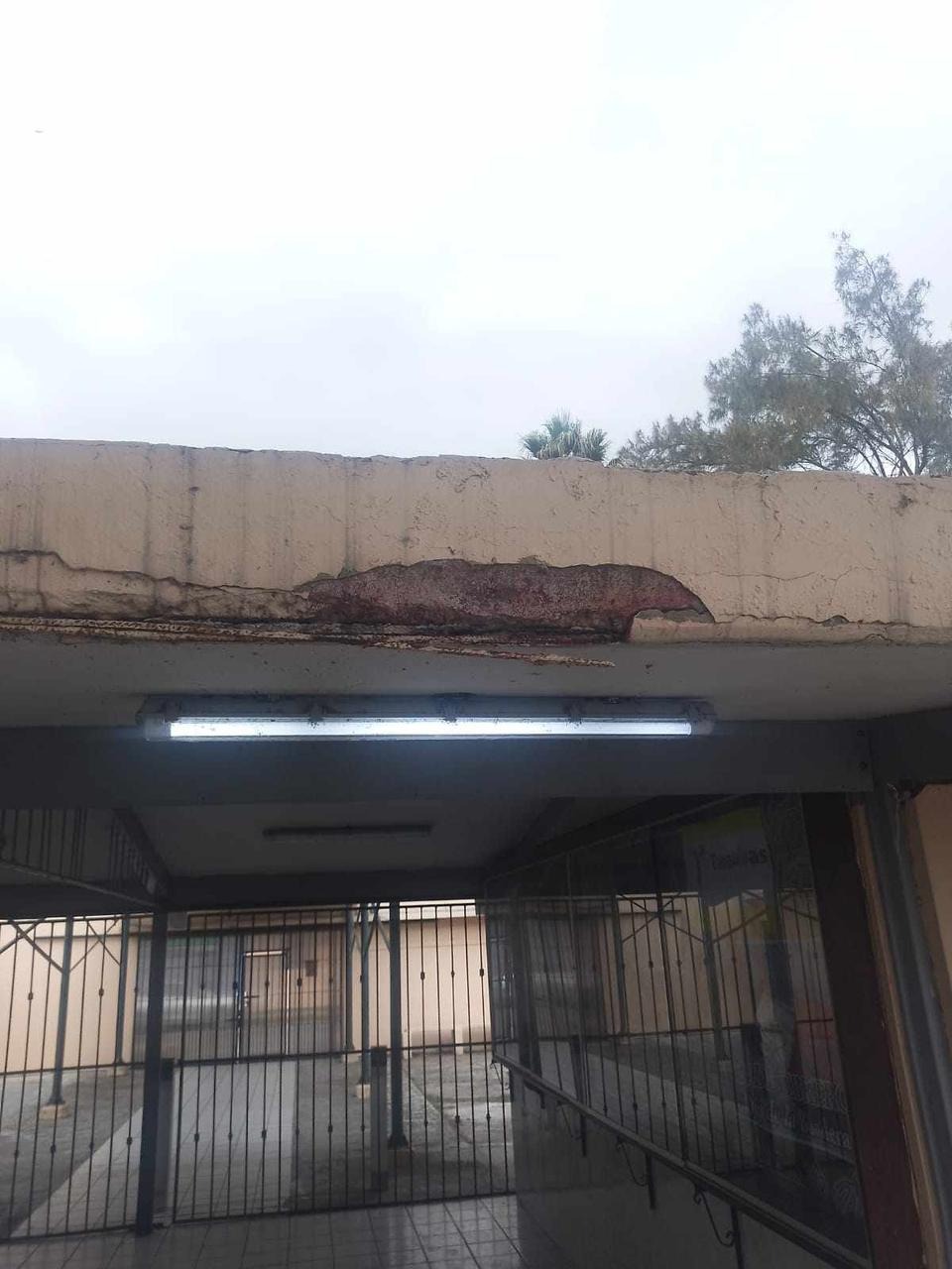 3 Secundaria