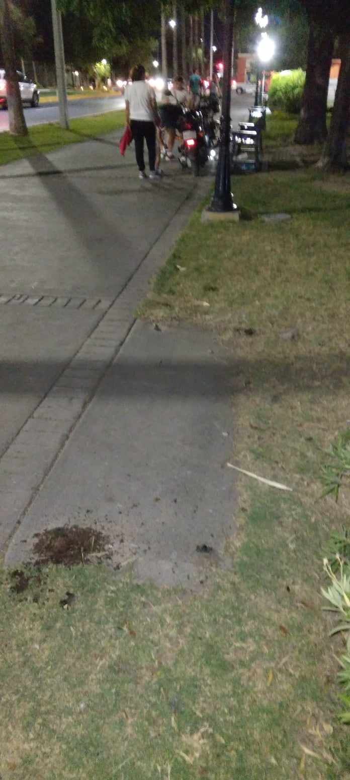 4 Atrapa